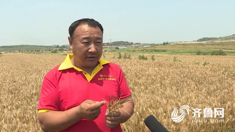 14c13ed1d40d24c9b13da9a84b245f83.jpg -学院MV.00_08_13_07.静止027.jpg