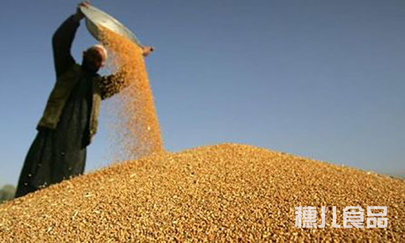 1589247513946785.jpg 官3.jpg